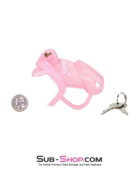 1358AR      Sissy Cock Blocker Silicone Tease and Torment Locking Male Chastity with Ball Divider Chastity   , Sub-Shop.com Bondage and Fetish Superstore