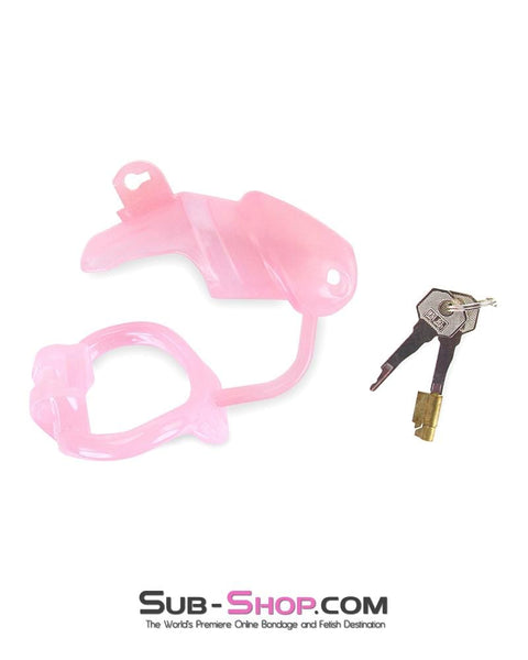 1358AR      Sissy Cock Blocker Silicone Tease and Torment Locking Male Chastity with Ball Divider Chastity   , Sub-Shop.com Bondage and Fetish Superstore