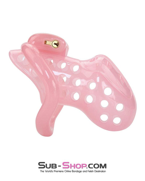 1432AR      Sissy Boy Toy Pink High Security Pin Tumbler Locking Cock Cage Chastity - MEGA Deal MEGA Deal   , Sub-Shop.com Bondage and Fetish Superstore
