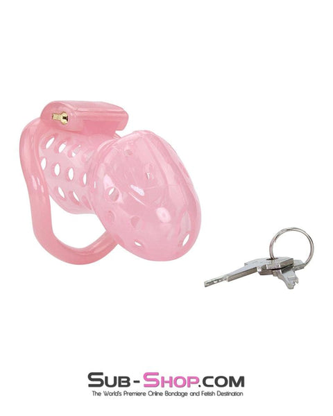 1432AR      Sissy Boy Toy Pink High Security Pin Tumbler Locking Cock Cage Chastity Chastity   , Sub-Shop.com Bondage and Fetish Superstore