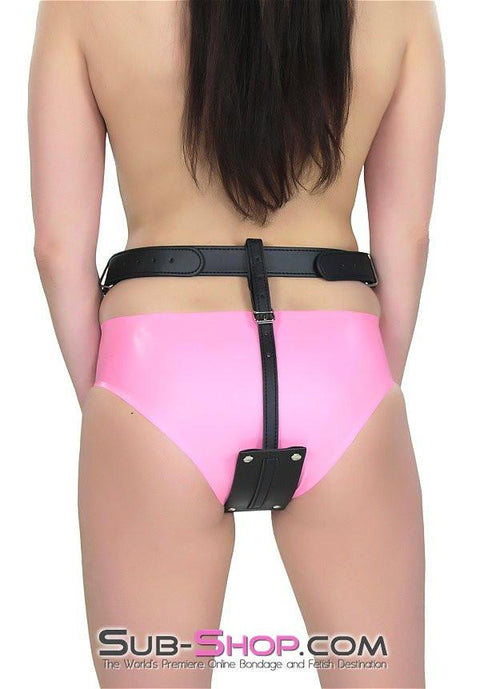 1746DL       Buckling Butt Plug Harness with Cock Ring Belt   , Sub-Shop.com Bondage and Fetish Superstore
