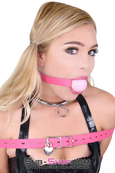 3639SM      Forever Your Girl Steel Collar Collar   , Sub-Shop.com Bondage and Fetish Superstore