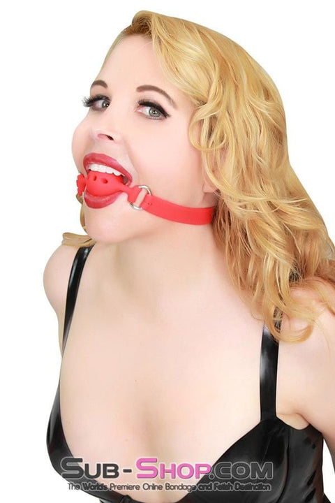 3746RS      Small Red Silicone Locking Breather Ball Gag Gags   , Sub-Shop.com Bondage and Fetish Superstore