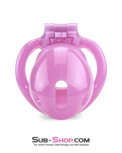 0396AE      Sissy Bitch High Security Keyed Tumbler Locking Male Chastity with 4 Base Cock Ring Sizes - MEGA Deal Black Friday Blowout   , Sub-Shop.com Bondage and Fetish Superstore