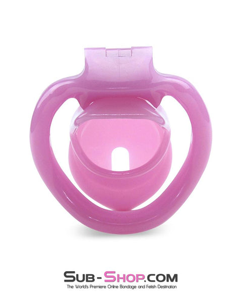 0396AE      Sissy Bitch High Security Keyed Tumbler Locking Male Chastity with 4 Base Cock Ring Sizes - MEGA Deal Black Friday Blowout   , Sub-Shop.com Bondage and Fetish Superstore