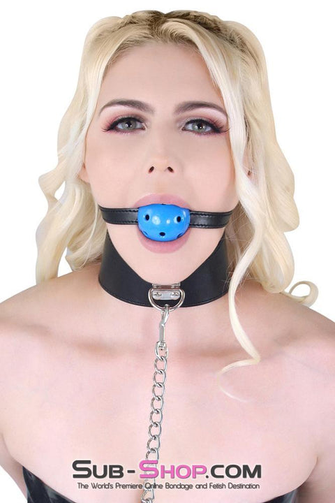 7331MQ      Posture Collar with Blue Breather Drool Ball Gag and Leash - LAST CHANCE - Final Closeout! MEGA Deal   , Sub-Shop.com Bondage and Fetish Superstore