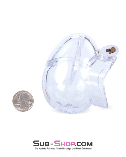 0741M      Medium Egg Cock and Balls Chastity Cage with Spiked Anti Pull Off Ball Torture Ring Chastity   , Sub-Shop.com Bondage and Fetish Superstore