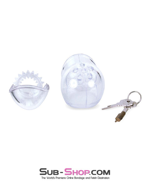 0741M      Medium Egg Cock and Balls Chastity Cage with Spiked Anti Pull Off Ball Torture Ring Chastity   , Sub-Shop.com Bondage and Fetish Superstore