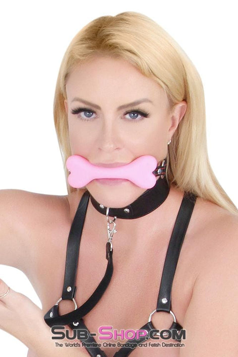 7831DL      I Will Follow You Collar and Leash Set Collar   , Sub-Shop.com Bondage and Fetish Superstore