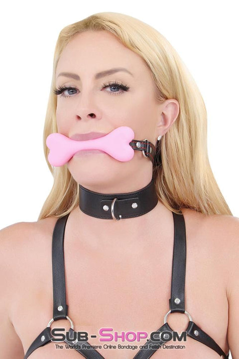7831DL      I Will Follow You Collar and Leash Set Collar   , Sub-Shop.com Bondage and Fetish Superstore