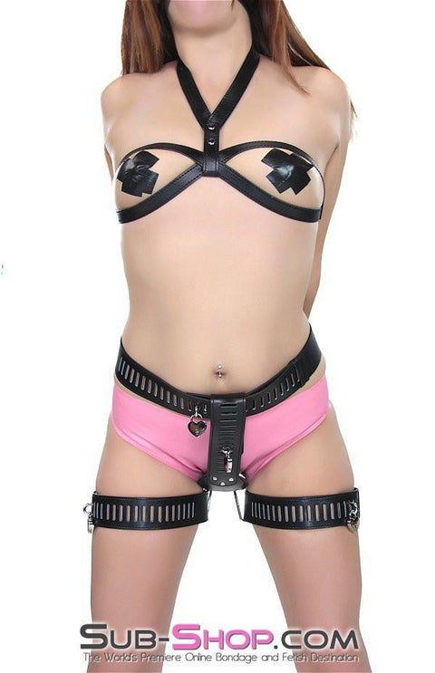 8966DL      Please Master Female Total Chastity Belt with Thigh Cuffs Belt   , Sub-Shop.com Bondage and Fetish Superstore