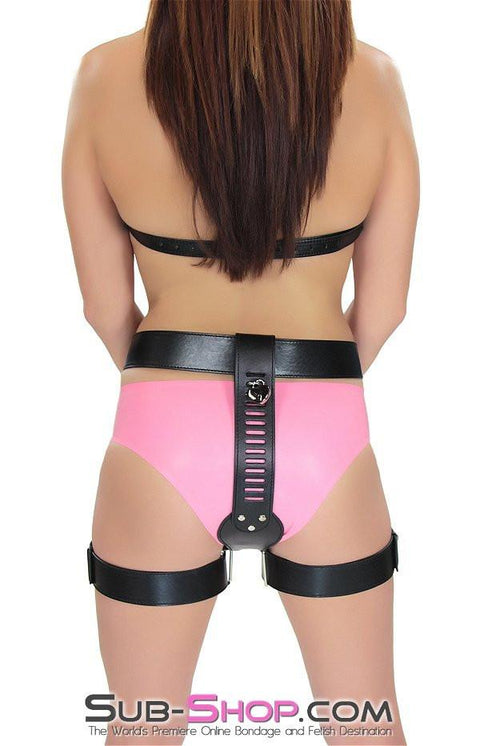 8966DL      Please Master Female Total Chastity Belt with Thigh Cuffs Belt   , Sub-Shop.com Bondage and Fetish Superstore