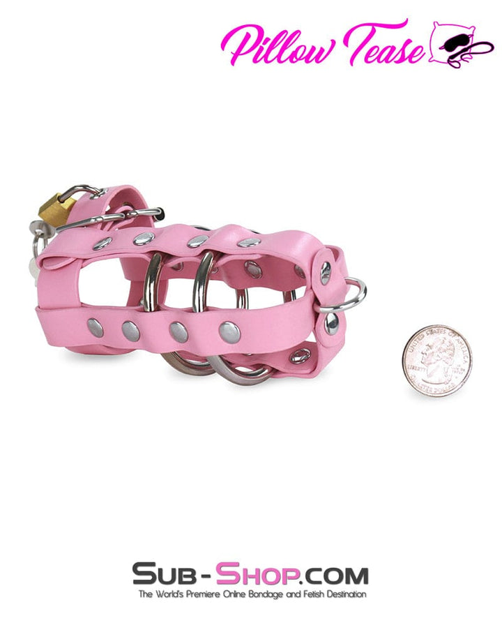 0319DL      Light Pink Locking Leather Cock & Balls Cage with Lead Ring Tip Cock Cage   , Sub-Shop.com Bondage and Fetish Superstore