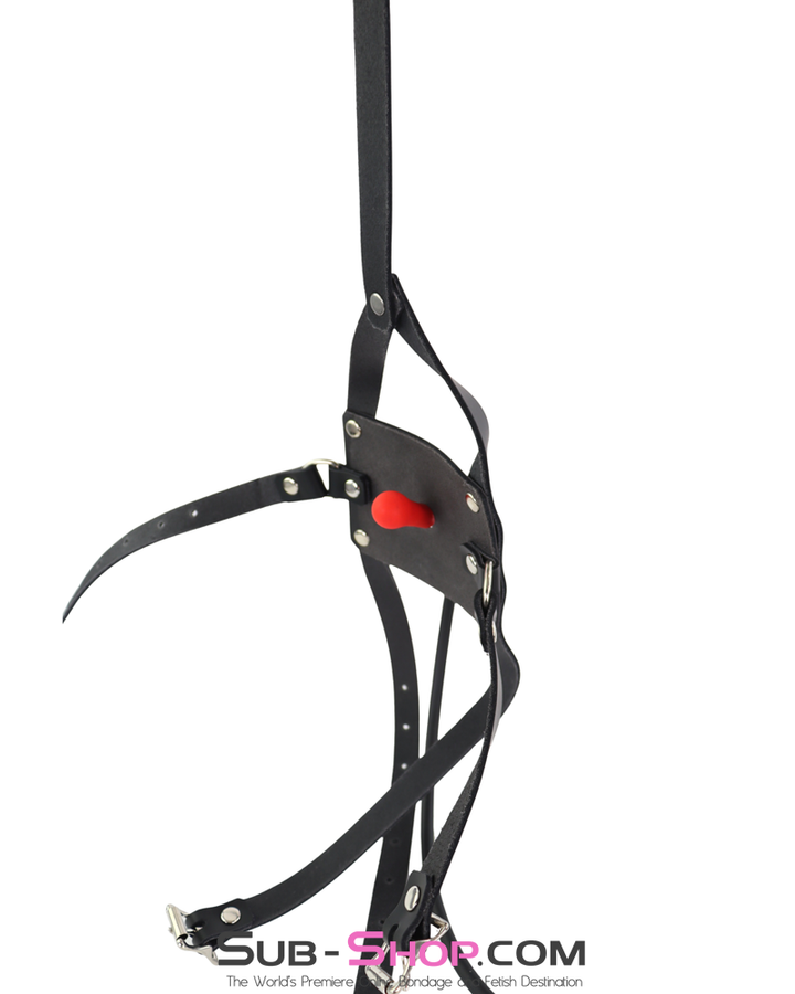 Fully inflated red ball gag attached to black leather trainer harness for bdsm restraint