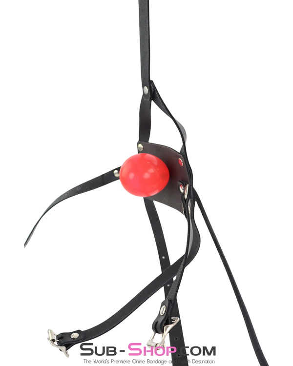 Inflatable ball gag with black leather muzzle harness and hand pump for adjustable gag control