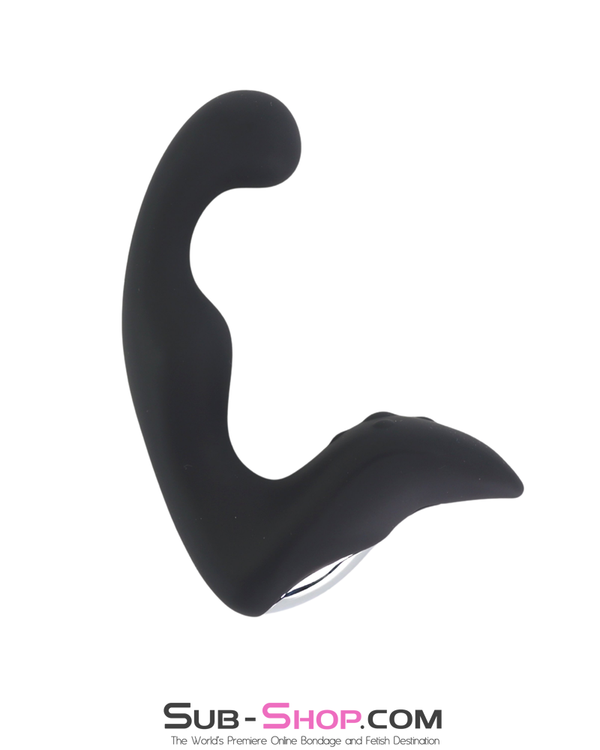 0513M  10 Function Rechargeable P-Spot Pleaser Waterproof Anal Vibe