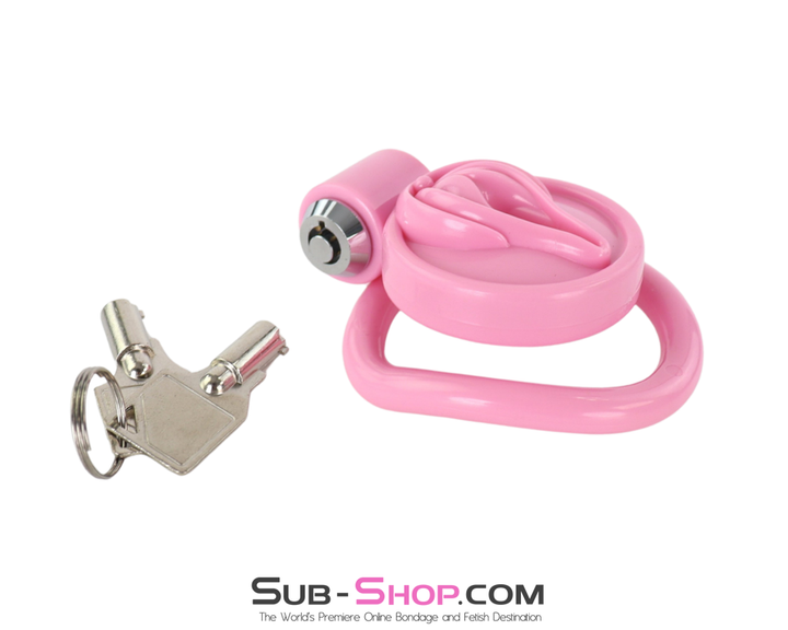 Close-up of pink cage showing top lock cylinder and curved front design.