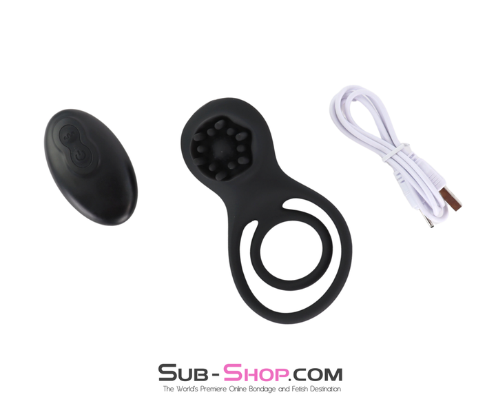 Full kit including vibrating cock ring, remote control, and USB charging cable.