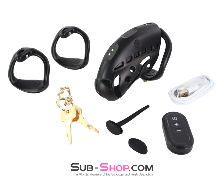 Full kit layout including cage, three rings, remote, USB cable, keys, and urethral accessories