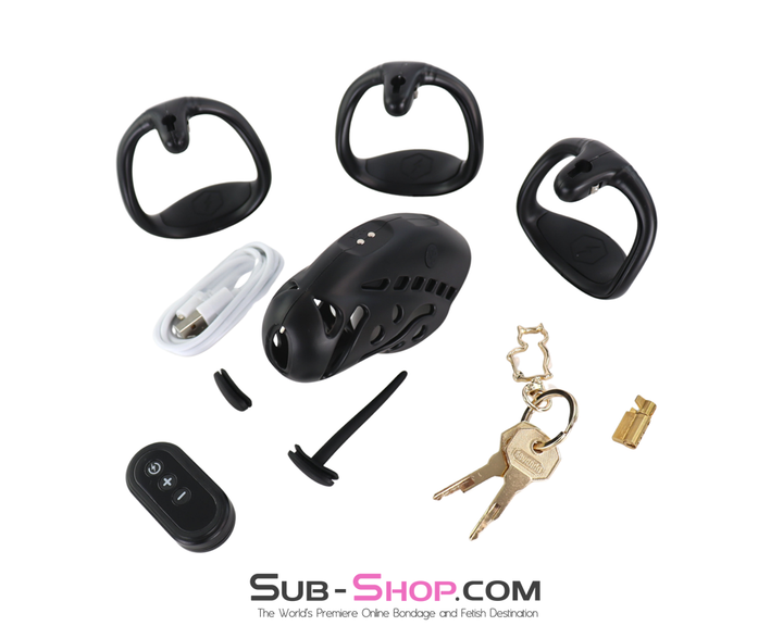 Overhead kit image showing cage, rings, lock, keys, remote, charger, and attachments