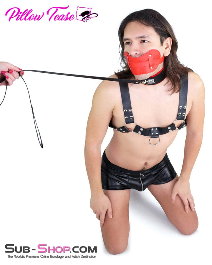 0975DL Red Fur Lined Bondage Slave Collar and Leash Set Collar , Sub-Shop.com Bondage and Fetish Superstore