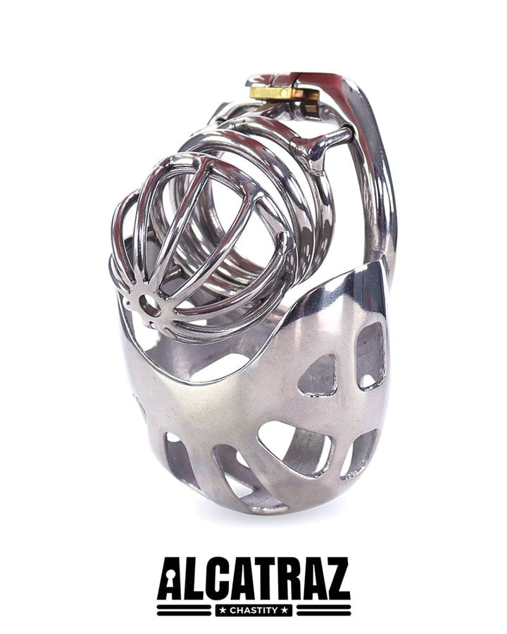 0995AR Balls and All Full Coverage Locking Steel Chastity Device, 2" Cock Ring Chastity , Sub-Shop.com Bondage and Fetish Superstore