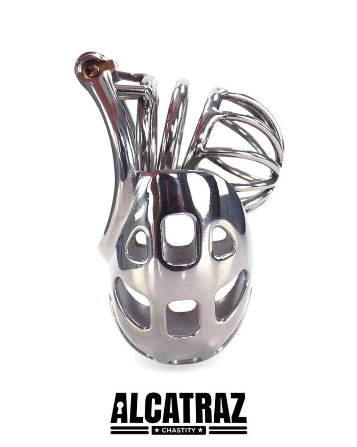 0995AR Balls and All Full Coverage Locking Steel Chastity Device, 2" Cock Ring Chastity , Sub-Shop.com Bondage and Fetish Superstore
