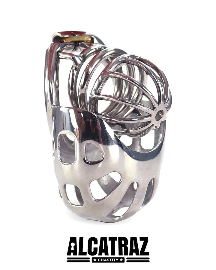 0995AR Balls and All Full Coverage Locking Steel Chastity Device, 2" Cock Ring Chastity , Sub-Shop.com Bondage and Fetish Superstore