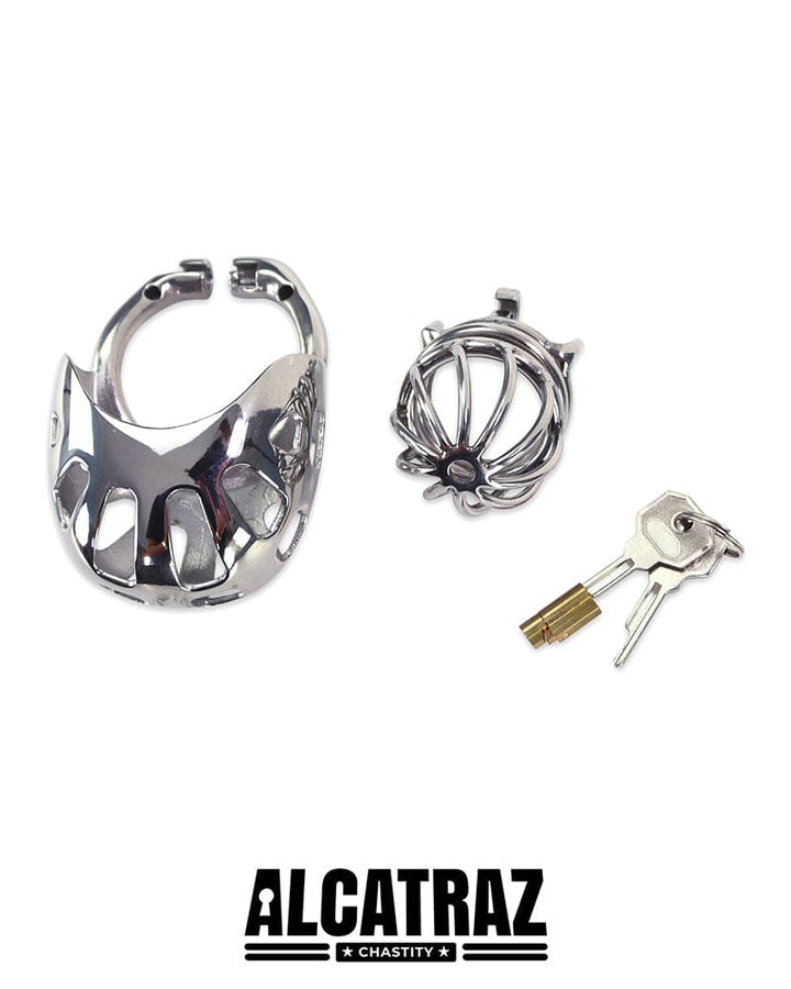 0995AR Balls and All Full Coverage Locking Steel Chastity Device, 2" Cock Ring Chastity , Sub-Shop.com Bondage and Fetish Superstore