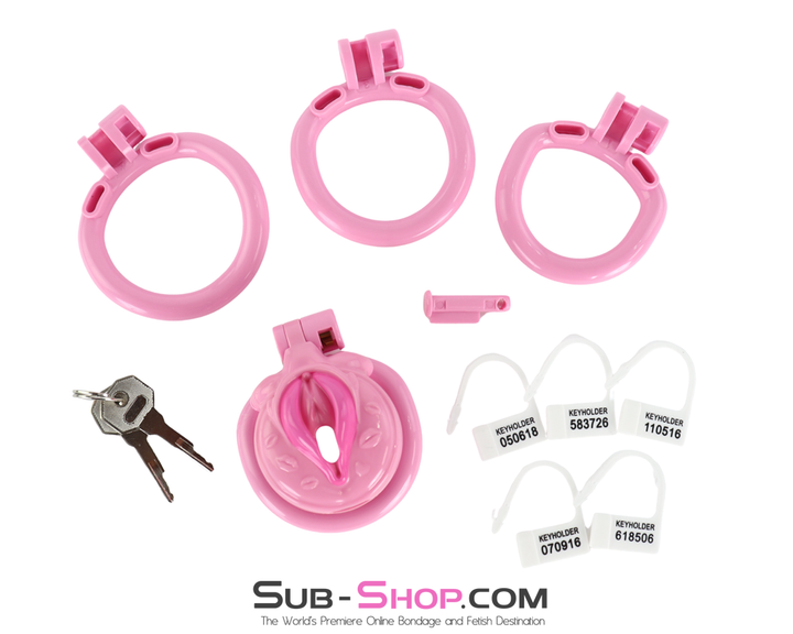 full chastity cage kit showing three rings pink cage numbered locks metal keys on white background