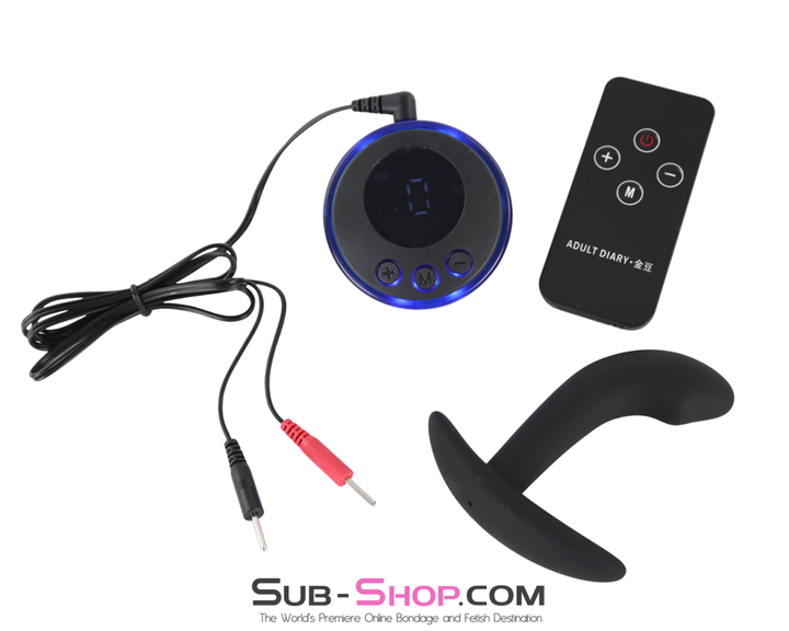 digital e-stim controller remote and silicone prostate plug with connector cables
