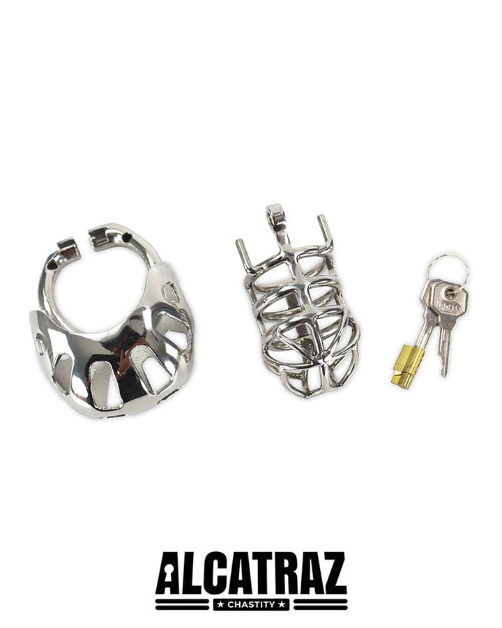 1341AR      Full Coverage Steel Locking Chastity Tease and CBT Device, 1.75" Cock Ring Chastity   , Sub-Shop.com Bondage and Fetish Superstore