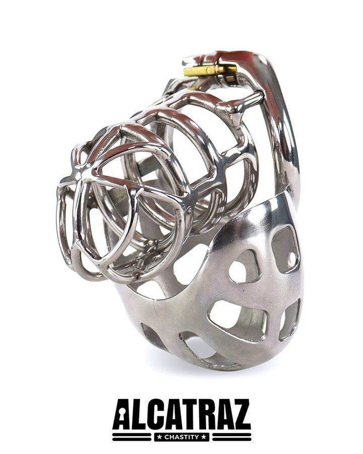 1341AR      Full Coverage Steel Locking Chastity Tease and CBT Device, 1.75" Cock Ring Chastity   , Sub-Shop.com Bondage and Fetish Superstore