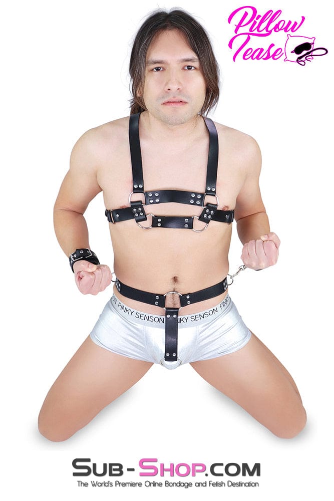 1546DL      Butt Plug Harness with Cock Ring and Wrist Bondage Cuffs Body Harness   , Sub-Shop.com Bondage and Fetish Superstore