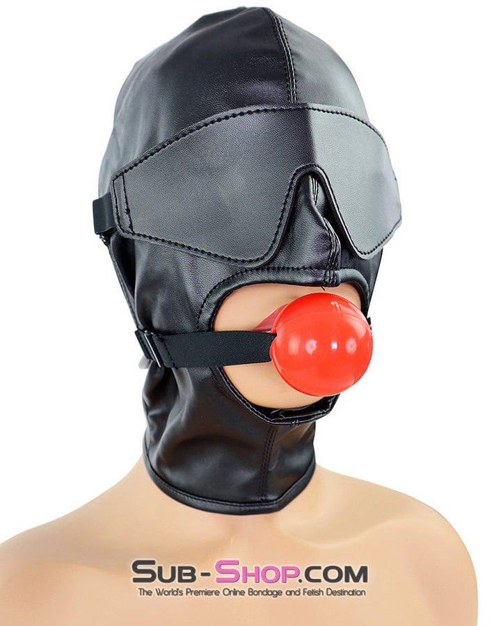 1833DL Soft Lacing Hood with Removeable Blindfold and Ball Gag Hoods , Sub-Shop.com Bondage and Fetish Superstore