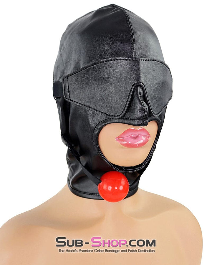 1833DL Soft Lacing Hood with Removeable Blindfold and Ball Gag Hoods , Sub-Shop.com Bondage and Fetish Superstore