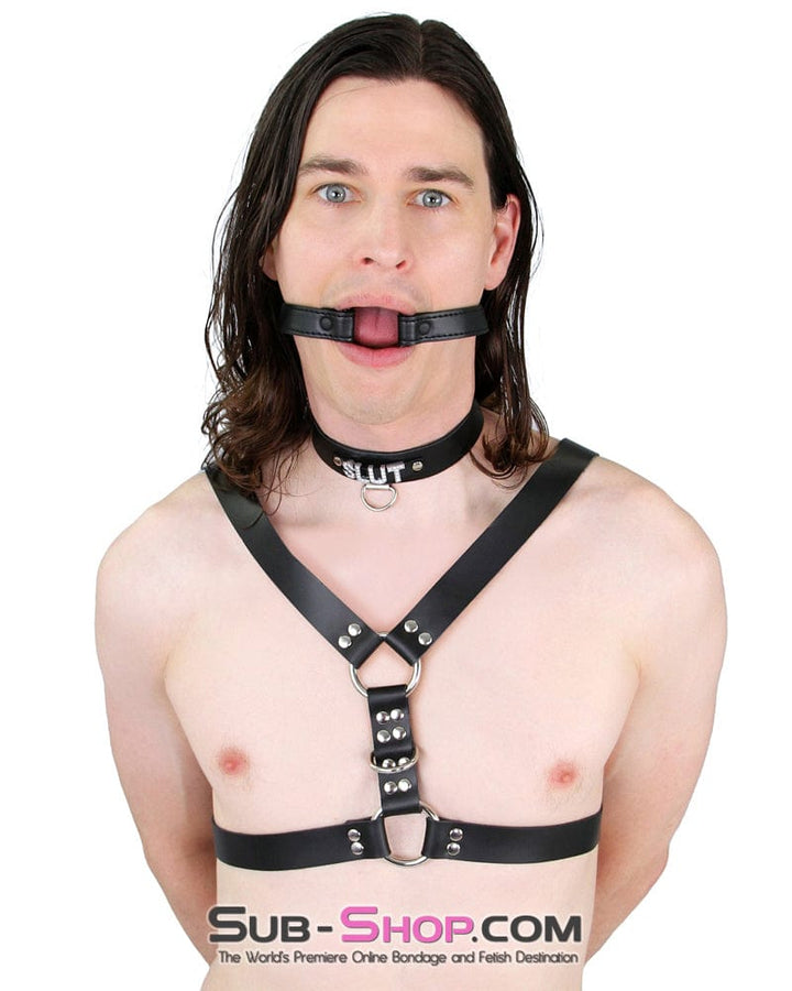 6844A-SIS      SLUT Rhinestone Collar, Black Leather Sissy Submissive Choker Sissy   , Sub-Shop.com Bondage and Fetish Superstore