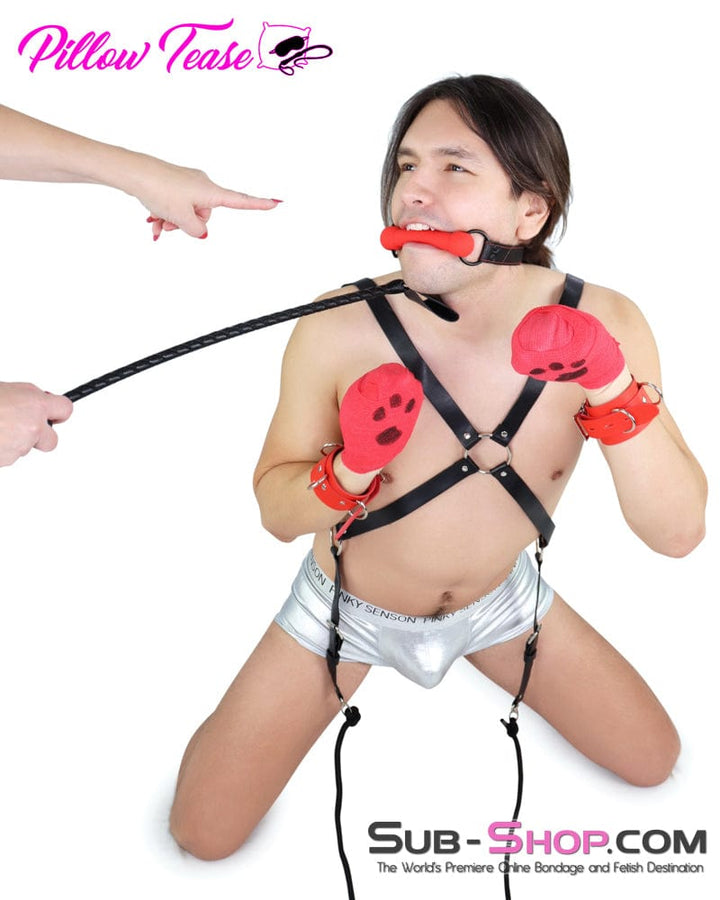 2720DL-SIS      Red Silicone Pony Play Sissy Bondage Bit Gag Sissy   , Sub-Shop.com Bondage and Fetish Superstore