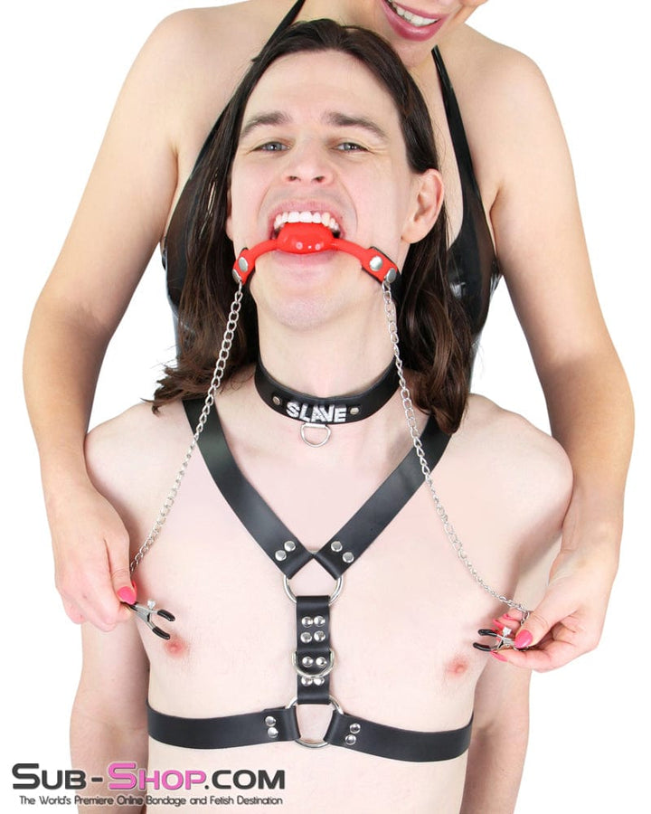 6843A-SIS Sissy Slave Rhinestone Collar, Black Leather Submissive Choker Sissy , Sub-Shop.com Bondage and Fetish Superstore