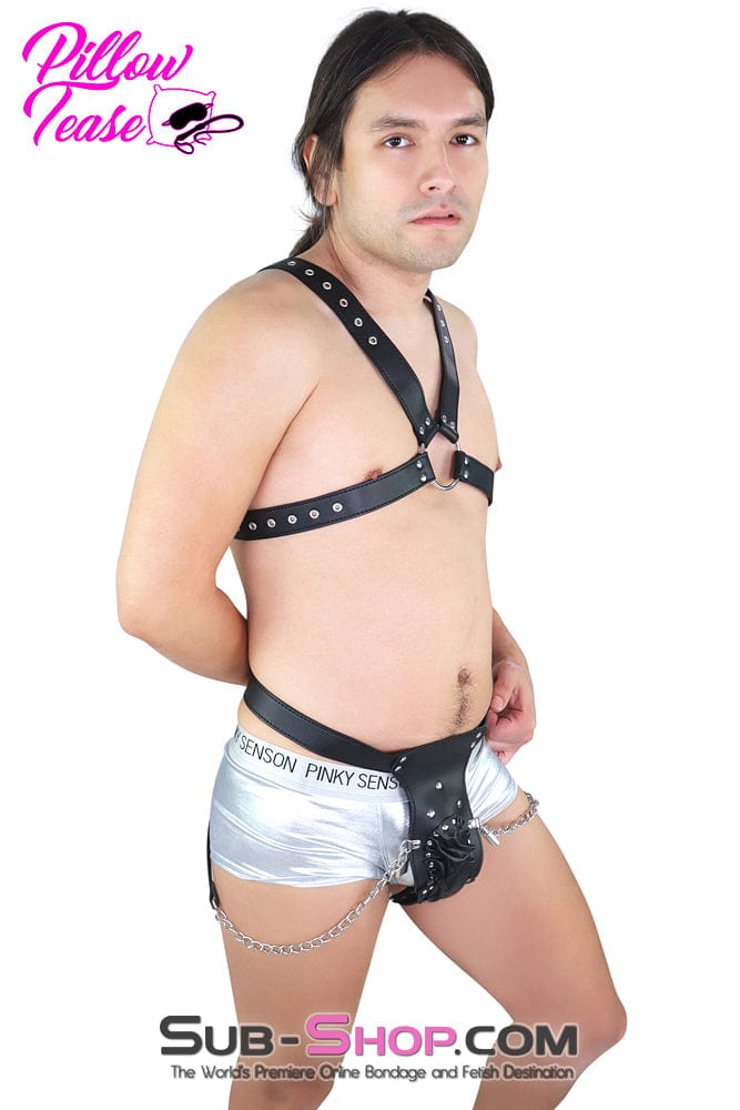 6837M The Cock Locker Male Locking Penis Pouch Chastity Belt - MEGA Deal MEGA Deal , Sub-Shop.com Bondage and Fetish Superstore