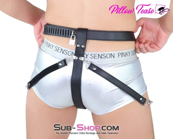 6837M The Cock Locker Male Locking Penis Pouch Chastity Belt - MEGA Deal MEGA Deal , Sub-Shop.com Bondage and Fetish Superstore