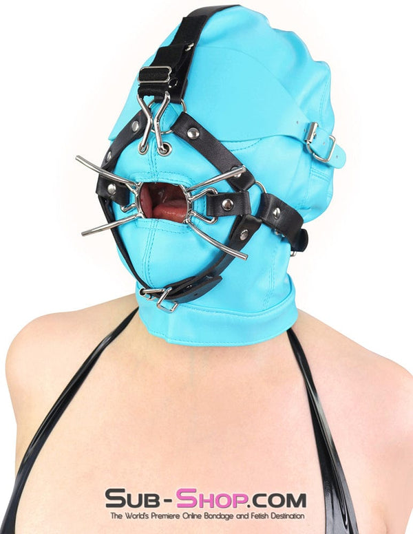 6900DL      Nose Hook Strict Spider Ring Gag Trainer Gags   , Sub-Shop.com Bondage and Fetish Superstore