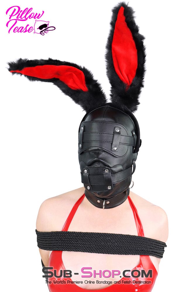 0194SM Total Lockdown Full Locking Hood with Removable Blindfold & Penis Gag Hoods , Sub-Shop.com Bondage and Fetish Superstore