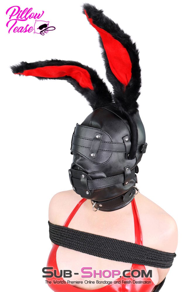 0194SM Total Lockdown Full Locking Hood with Removable Blindfold & Penis Gag Hoods , Sub-Shop.com Bondage and Fetish Superstore