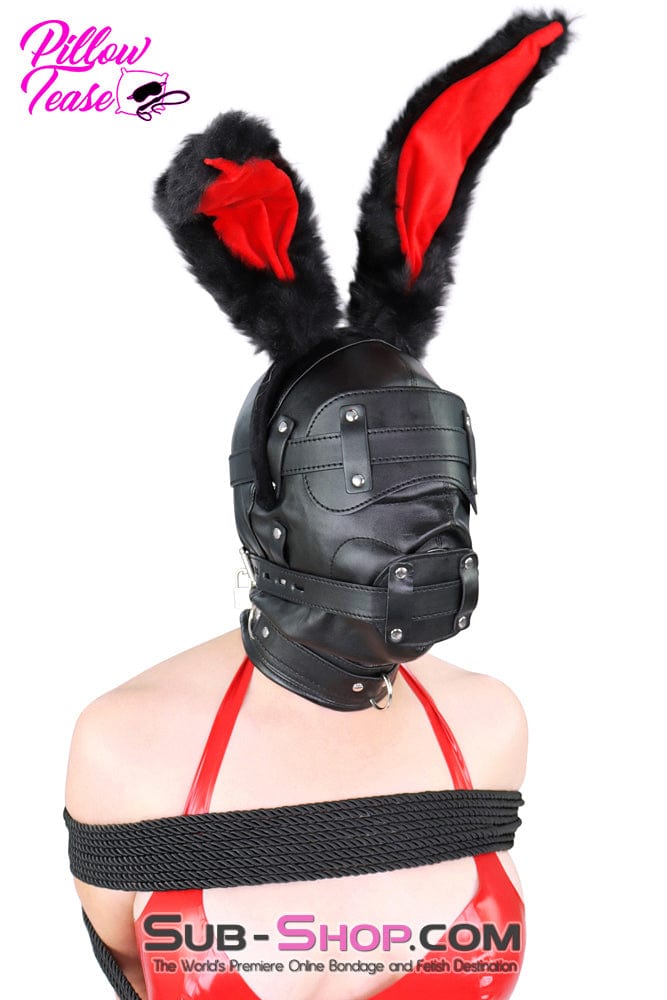 0194SM Total Lockdown Full Locking Hood with Removable Blindfold & Penis Gag Hoods , Sub-Shop.com Bondage and Fetish Superstore