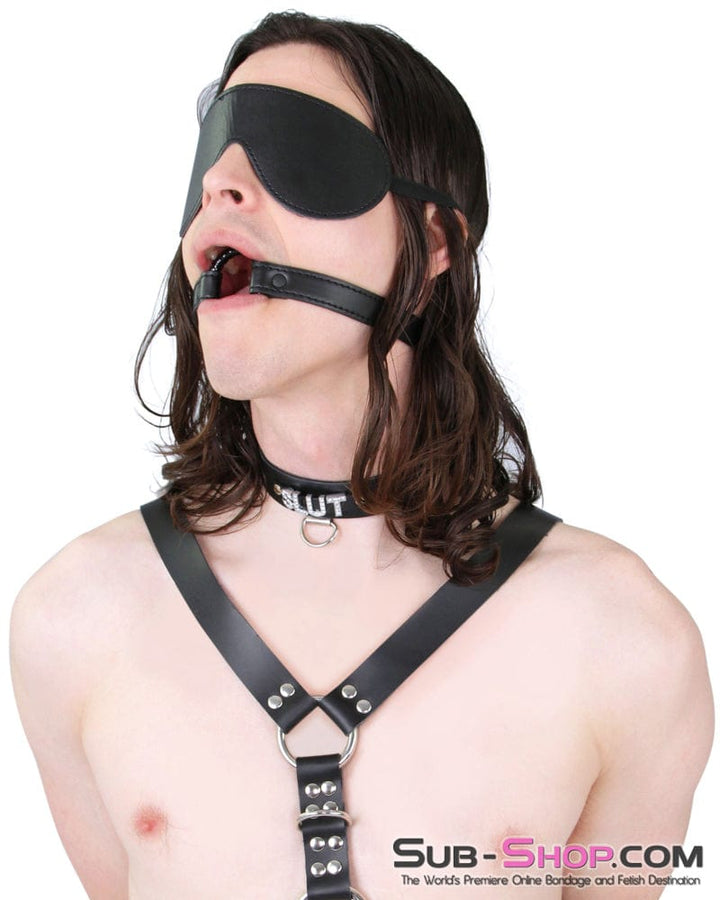 8929DL-SIS Sissy Lover’s Games Feminine Bondage Mask & Sensual Blindfold Play Sissy , Sub-Shop.com Bondage and Fetish Superstore