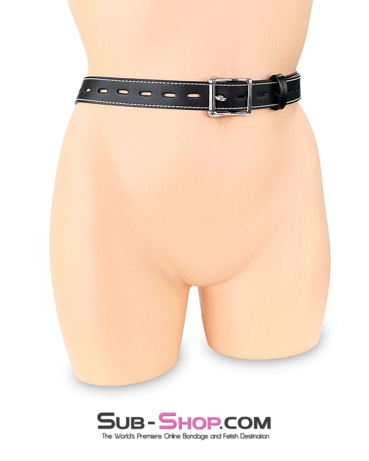 Anal Toys 8860DL      Anal Hook Plus Locking Waist Bondage Harness