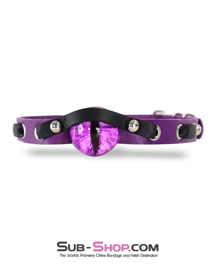 Collar 0170DL  Enchanted Amethyst Dragon Eye Collar