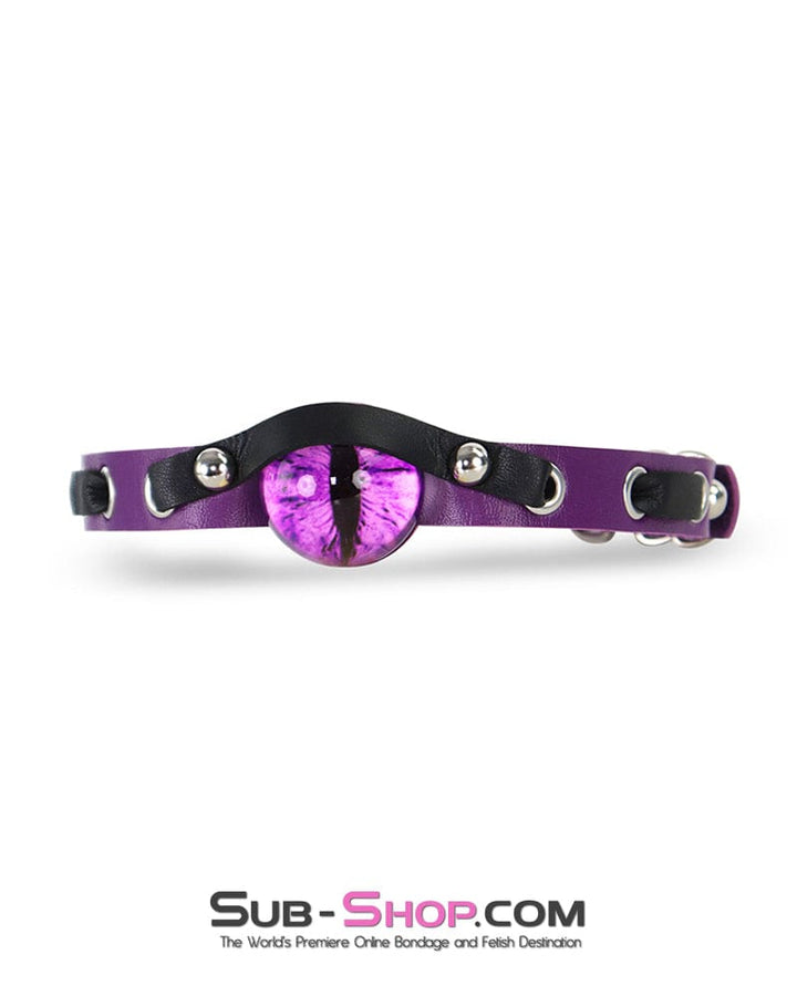 Collar 0170DL  Enchanted Amethyst Dragon Eye Collar