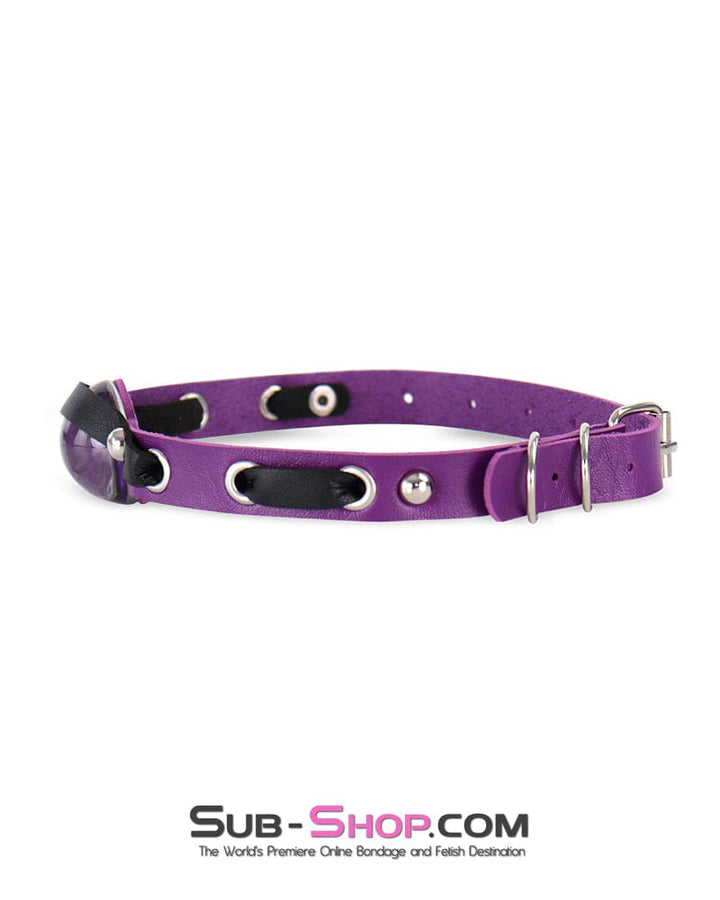 Collar 0170DL  Enchanted Amethyst Dragon Eye Collar